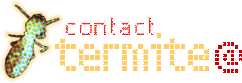 contact termite